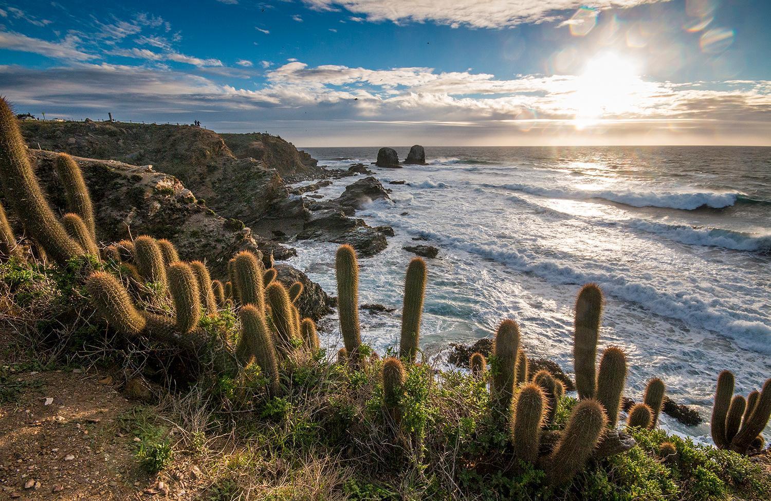 Hotel Alaia Pichilemu Eksteriør billede