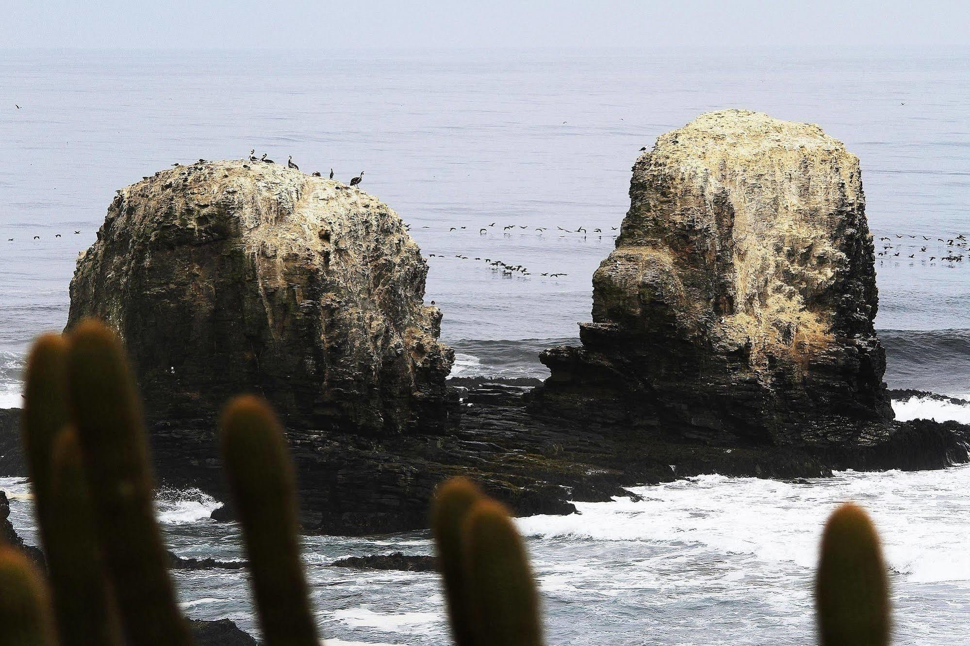 Hotel Alaia Pichilemu Eksteriør billede
